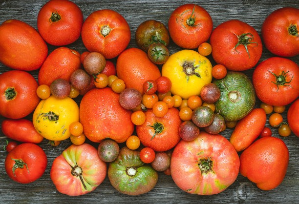 西红柿图片下载