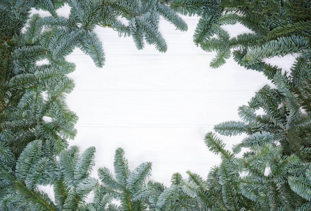 圣诞树树枝背景。圣诞节组成。贺卡图片下载