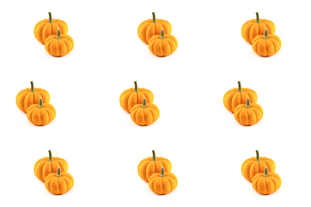 一对南瓜橙色的秋天象征在一个孤立的白色背景图片下载
