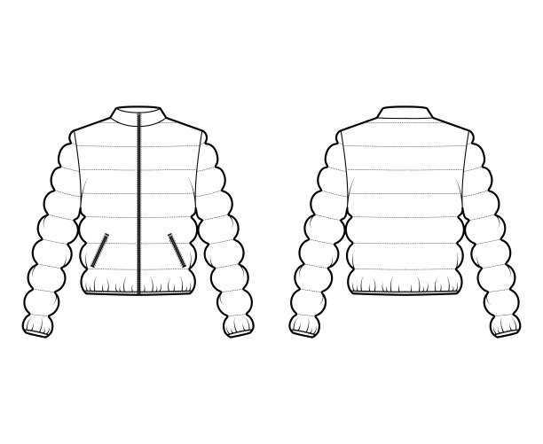羽绒服外套技术时尚插图与长袖，立领，臀部长度，经典绗缝图片下载