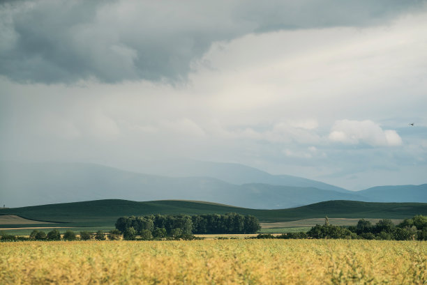 村庄乡村农业形状在田野航拍无人机照片视图图片下载