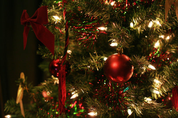 圣诞树图片下载