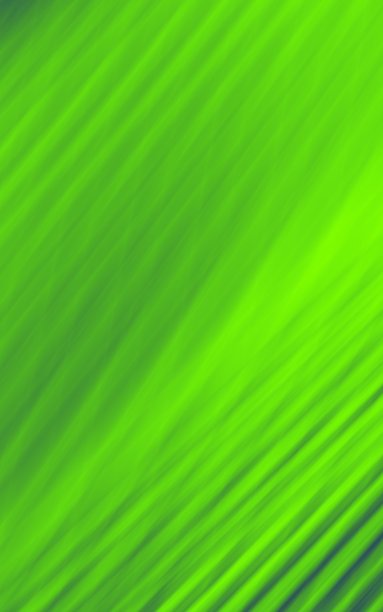 叶棕榈绿色抽象艺术插图背景图片下载