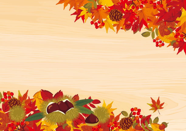秋天树叶和栗子的背景向量插图。图片下载