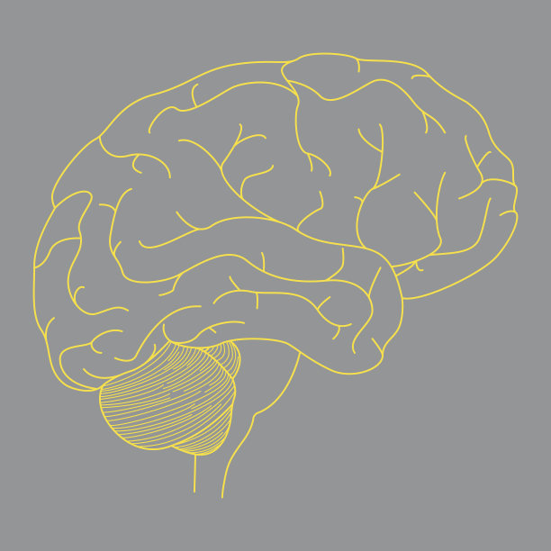 人脑概念线性孤立可编辑图片下载