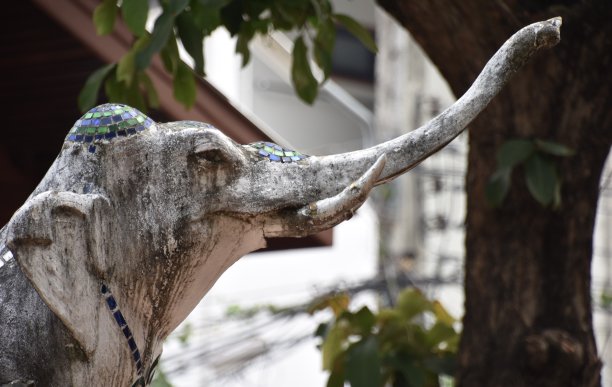 巨大的大象雕像头和鼻子图片下载