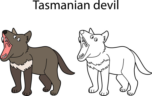 滑稽可爱的动物塔斯马尼亚魔鬼孤立上图片下载