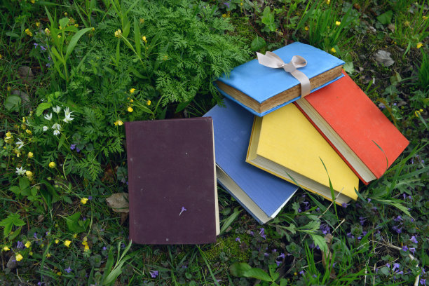 静物带着五颜六色的书躺在草坪外面的绿草上图片下载