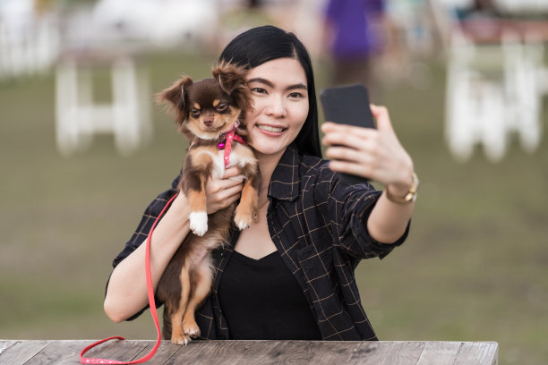一个美丽的女孩和她可爱的小狗在公园的户外玩耍。小狗和主人在公园玩了一天，玩得很开心。宠物爱心库存照片图片下载