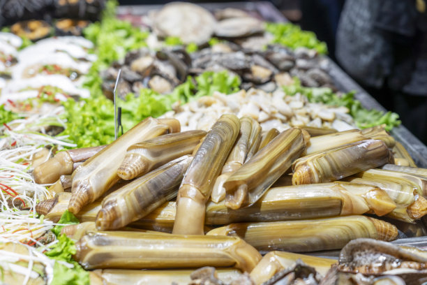 新鲜海鲜鲍鱼和蛏子图片下载