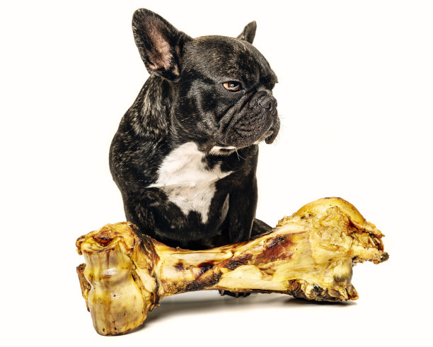 这是我的骨头。图片下载