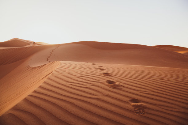 阿布扎比沙漠中的脚印图片下载