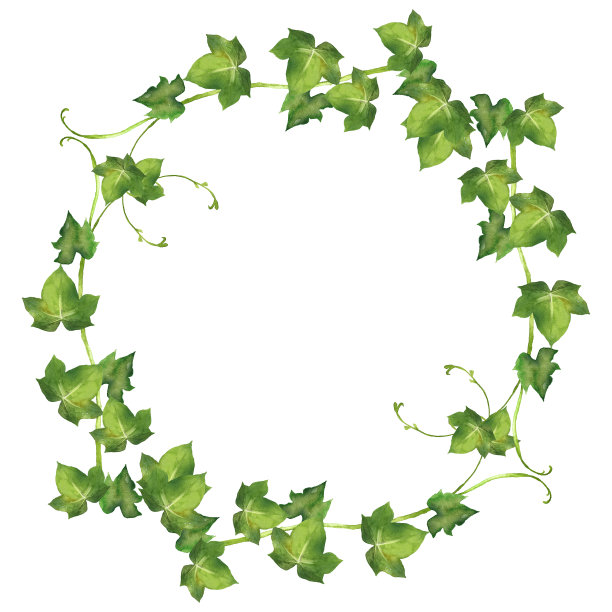 水彩Hedera螺旋叶图片下载