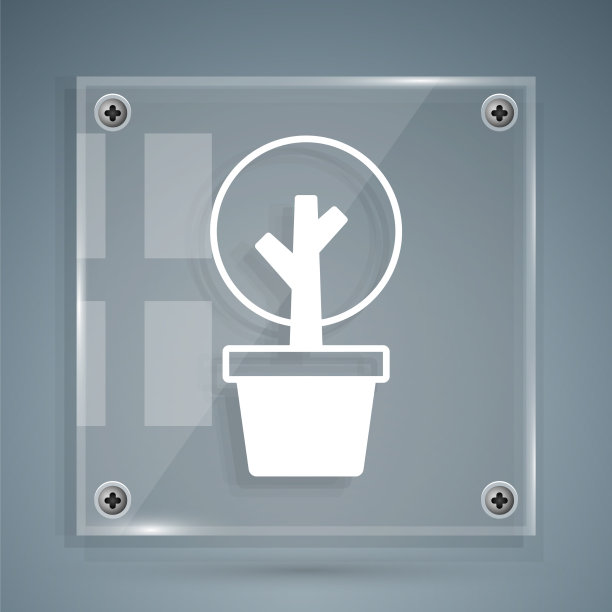 白色的树图标孤立在灰色的背景图片下载