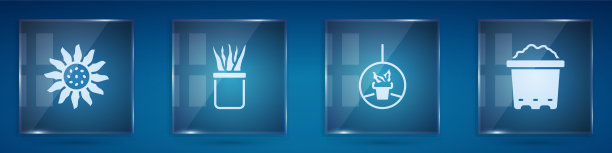 花盆悬挂和花盆内插花图片下载