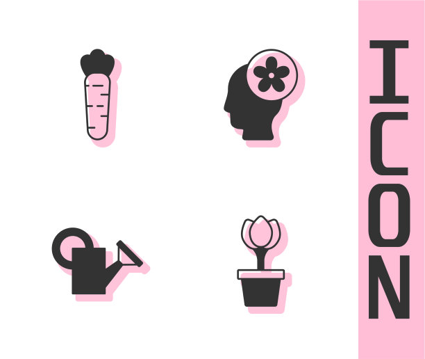 把郁金香放在花盆里，胡萝卜浇水罐里图片下载