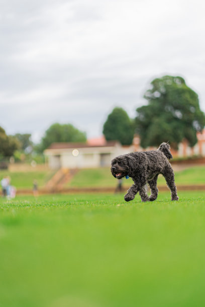 在公园里玩得很开心图片下载