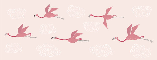 和火烈鸟一起，火烈鸟飞在图片下载