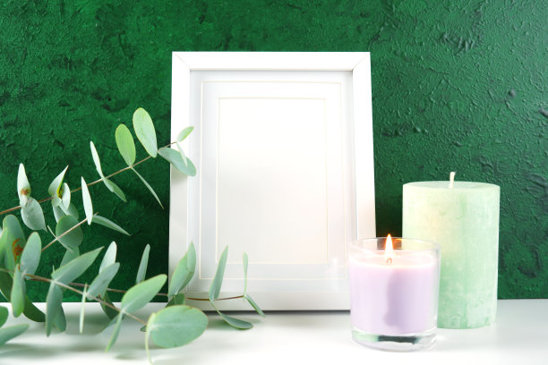 相框模拟与深绿色背景桉树叶图片下载