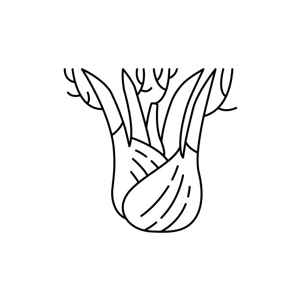 茴香色线图标。精油，水果种子。图片下载