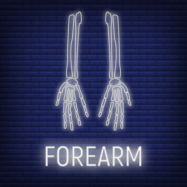 概念前臂骨图标辉光霓虹灯风格，骨骼部分有机体，x射线人体图像隔离在黑色，平面矢量插图。图片下载
