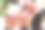 新娘和新郎手中的结婚戒指。图片下载