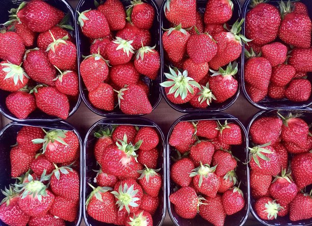 农场新鲜草莓篮图片下载