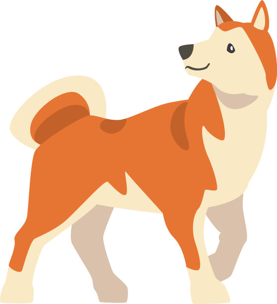 柴犬为日本犬种图片下载