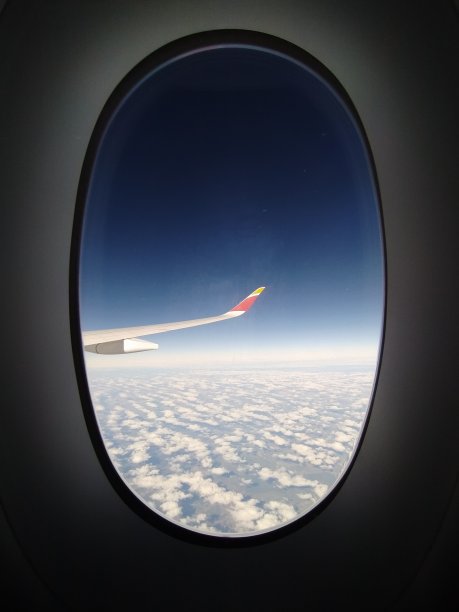 飞走了图片下载