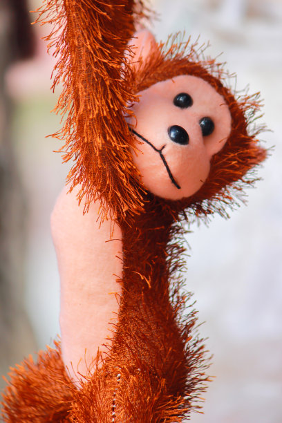 孟加拉达卡街头悬挂的棕色毛茸茸的猴子玩具图片下载