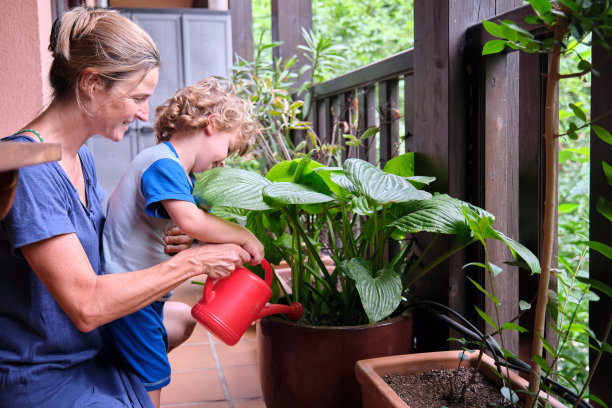 母亲和儿子在阳台上给植物浇水图片下载