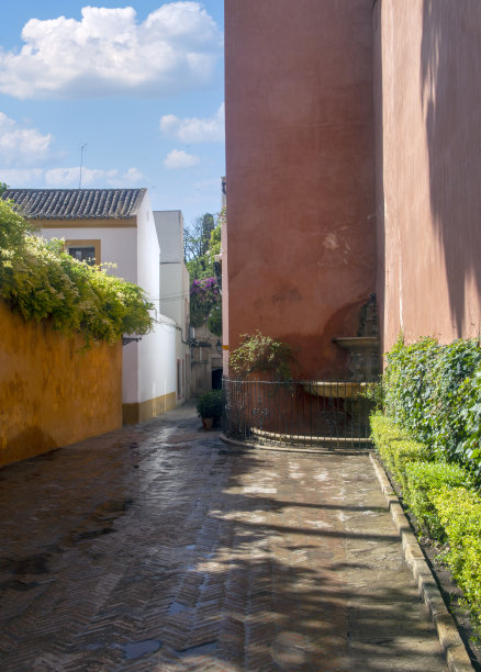 街上的喷泉图片下载