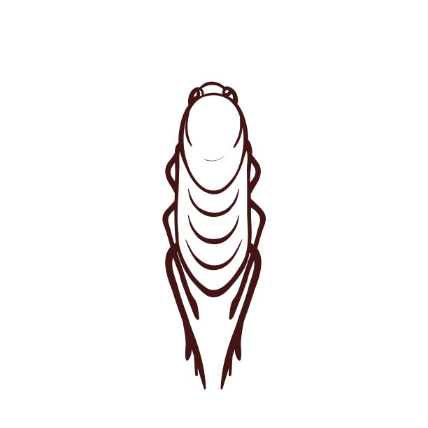 跳蚤，寄生虫，家庭害虫，大型昆虫图片下载