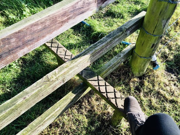 跨过阶梯图片下载