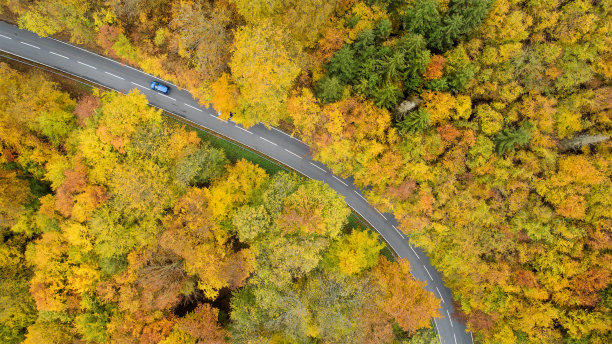 道路通过秋天的森林-鸟瞰图图片下载