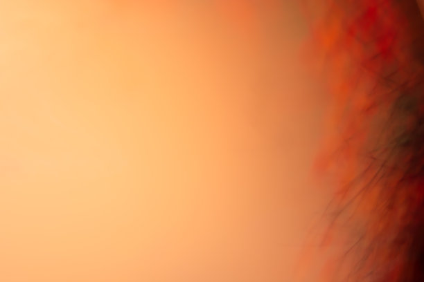 秋天抽象的背景在温暖的橙色与模糊的树枝和树叶。万圣节和其他节日的背景。照片的效果。图片下载