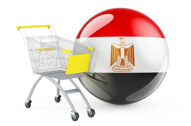 有埃及国旗的购物车。在埃及购物的概念。在白色背景上隔离的3D渲染图片下载