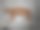 猫醒了图片下载