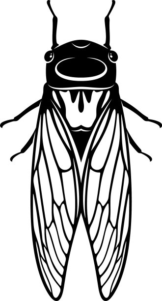 知了设计创意知了标志图片下载