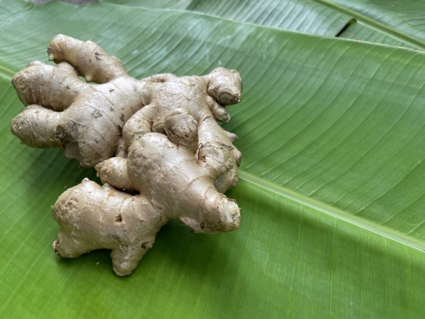 姜蔬菜在香蕉叶上。图片下载
