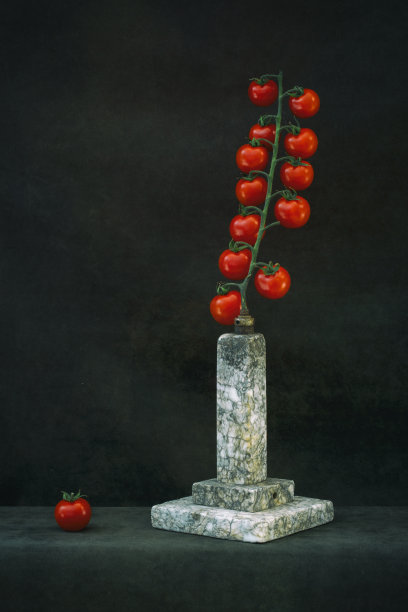 静物“纪念碑”与圣女果和花岗岩基座图片下载