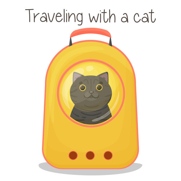 英国猫坐在一个塑料背包随身携带图片下载