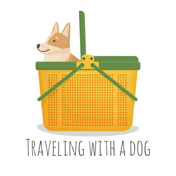 柯基坐在一个塑料宠物筐里图片下载