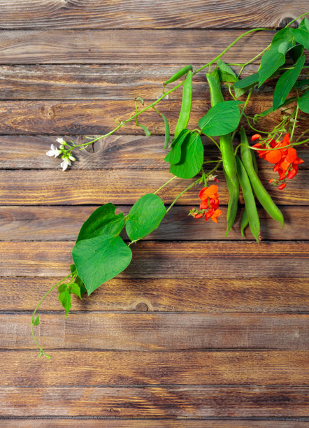 绿豆在质朴的木制背景上。图片下载