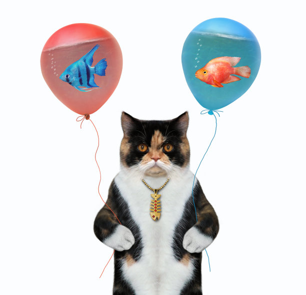 猫色的气球上有水族馆的鱼图片下载