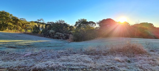 巴西南大草原冬季的日出图片下载