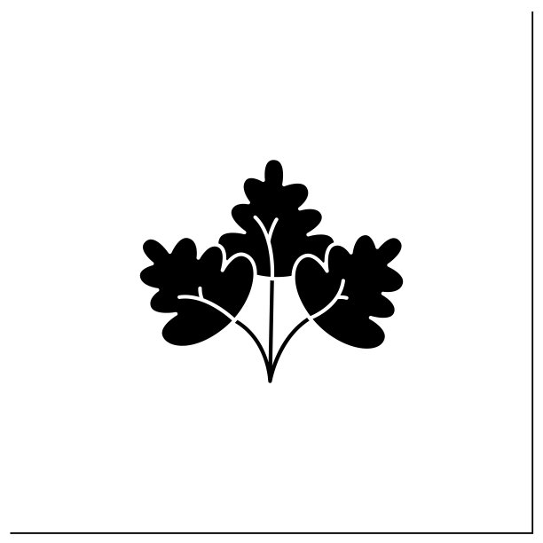 欧芹图示图片下载