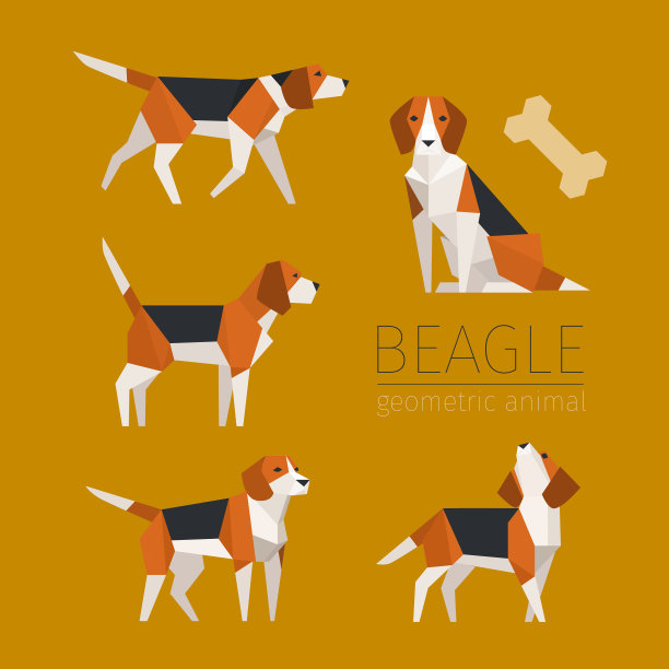 低聚小猎犬图片下载