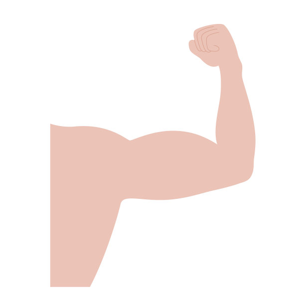 强壮的二头肌和三头肌图片下载