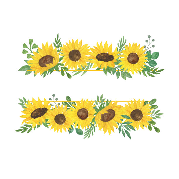 向日葵和叶子框架，花卉组成水彩画插图，田野农业植物夏季花束，安排感恩节，贺卡，波西米亚装饰，婚礼邀请模板图片下载